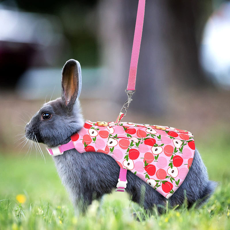 3 Piece Cute Rabbit Leash and Harness Set, Bunny Rabbit Dress Clothes Walking Harness Vest Escape Proof Pet Supply for Rabbit Hedgehog Ferret Guinea Pig (Peach, Pineapple, Strawberry) Peach, Pineapple, Strawberry - PawsPlanet Australia
