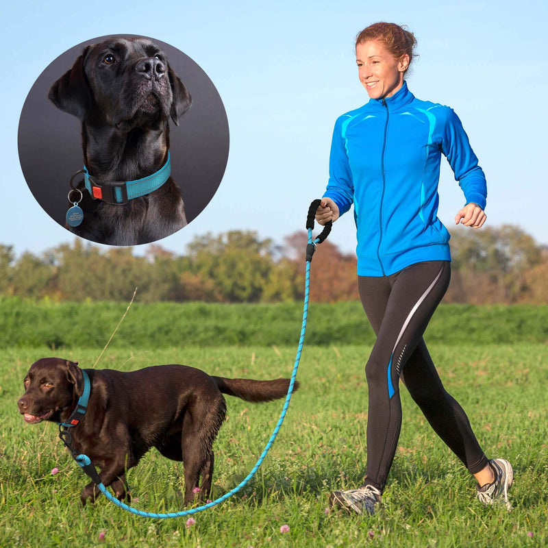 Heavy Duty Dog Leash - Comfortable Padded Handle, 5 ft Long - Dog Leashes for Small Medium Large Dogs (Leash+Collar M Neck 16"-20", Blue) Medium (Pack of 1) Blue Leash+Collar - PawsPlanet Australia