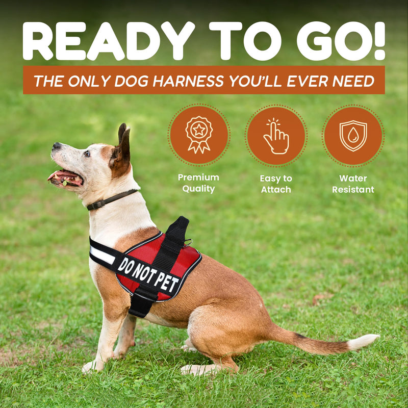 Doggie Stylz Dog Harness with DO NOT PET Patches – No Pull Service Dog Vest and Service Animal Vest for Dogs – Adjustable Gentle Leader for Dogs – Reflective, Heavy-Duty for Training and Walking Girth 19-25" Red - PawsPlanet Australia