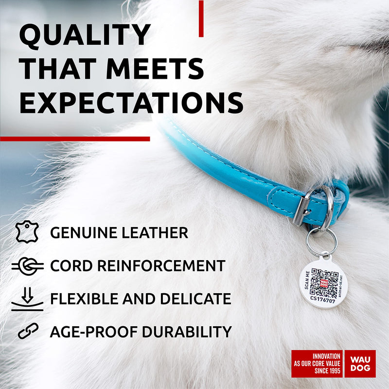 WAUDOG Ultra Soft Rolled Leather Collar - Soft Padded for Small, Medium, and Large Dogs - Puppy Collar for Male and Female Dogs 10" - 13" Neck Blue - PawsPlanet Australia