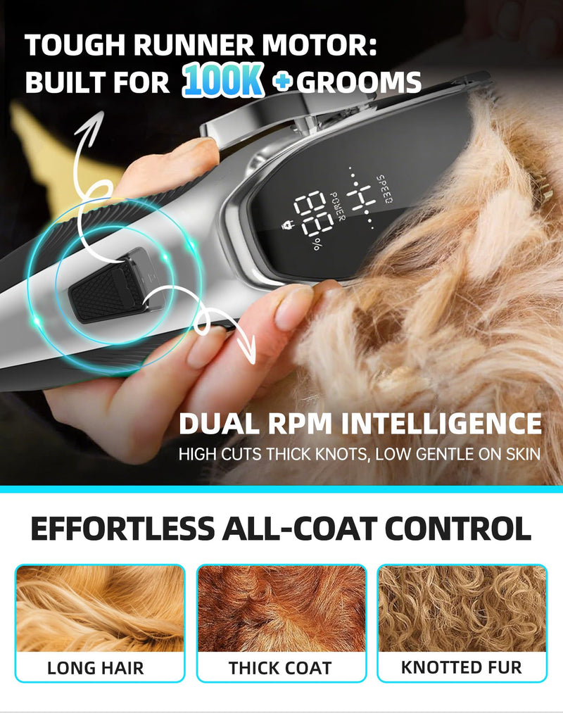 Dog Grooming Kit Low Noise,Cordless 4 in 1 Dog Clippers for Grooming Rechargeable Pet Cat Hair Trimmer with 2 Speed,6 Guards,Scissors,Comb for Small Medium Large Pets Dogs Cats Thick Hair Sliver - PawsPlanet Australia