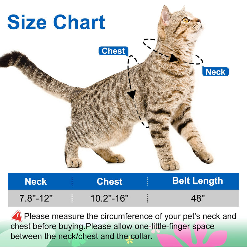 Cat Harness and Leash Set with Matching Collar – Escape Proof H-Style Harness for Cats, Adjustable & Lightweight, Tropical Hawaiian Leaf Print, Easy Wear for Outdoor Walking & Training Hawaii Blue - PawsPlanet Australia