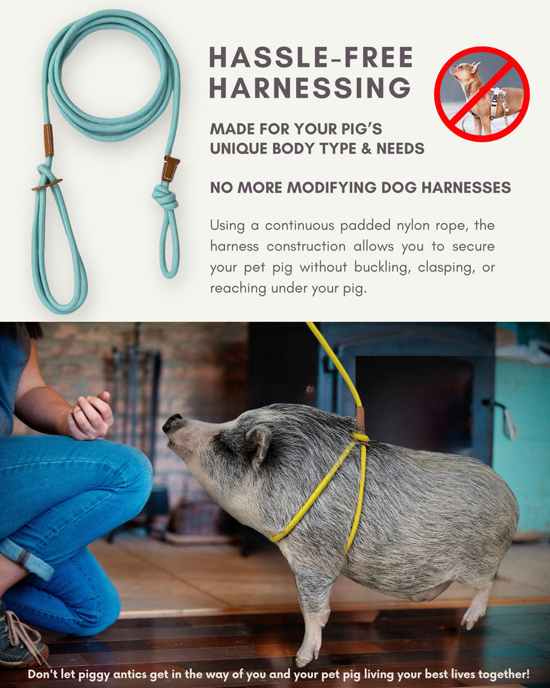 Pig Harness Leash-Fully Adjustable Pig Leash Harness for Small & Medium Pigs-Easy Step in Harness-Infinity Style Pet Pig Leash-Durable & Gentle Mini Pig Harness-Mini Pig Supplies (Small-Mauve Pink) Mauve Pink - PawsPlanet Australia