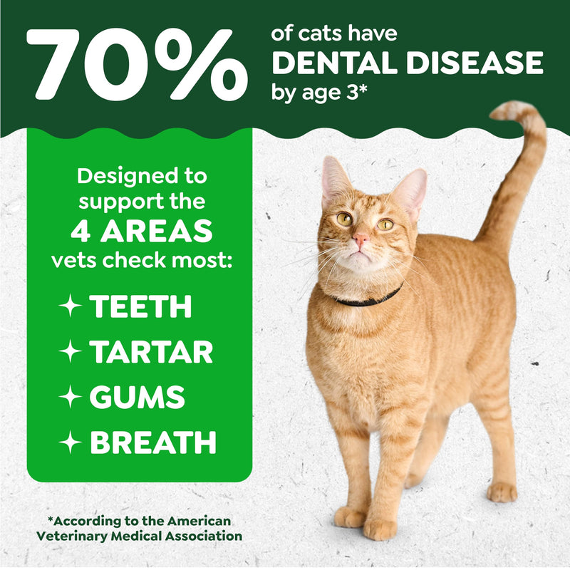Greenies Cat Treats, Feline Veterinarian-Recommended Adult Natural Dental Treats, Catnip Flavor, 21 oz. Tub 1.31 Pound (Pack of 1) - PawsPlanet Australia