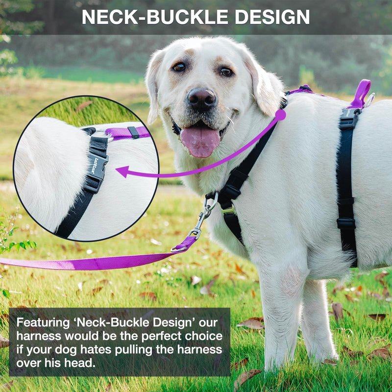 No Pull Dog Harness, Non-Restrictive Harness with Neck Buckle, Nylon Straps, Aluminum D-Rings, 6 Points Adjustment for Ultimate Fit, Easy Walking and Training (Red/Black, S) Red/Black - PawsPlanet Australia