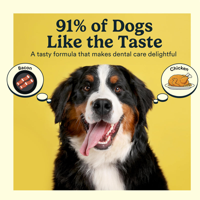 Jasper Dog Tooth Brushing Kit and Dog Toothpaste Kit 360 Dog Toothbrush Enzymatic Plaque Remover Imporves Bad Breath Natural Pet Toothpaste Dog Toothbrush and Toothpaste 2 oz Chicken Flavor Chicken Kit