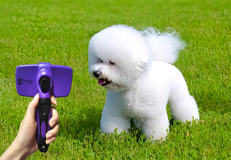 Volpe Cat Brush, Dog Brush, Furminator For Dogs, Dog Brush For Shedding,Cat Brushes For Indoor Cats,Dog Hair Remover, Deshedding Fur Removal,Purple Purple - PawsPlanet Australia