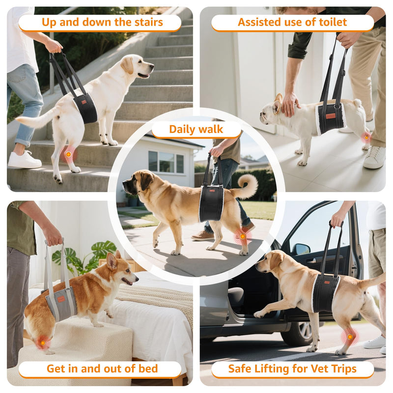 LOOBANI Dog Sling for Medium Dogs Hind Leg Support, Portable Dog Lift Harness for Back Legs, Comfortable Leg Support Assistance for Elderly Dogs with Hip, ACL Brace, Senior, Injured Grey&Grey