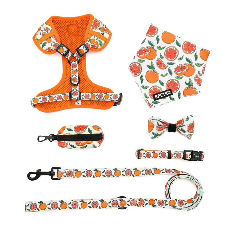Dog Leash and Harness Set of 6, Soft Lightweight Mesh Step-in Puppy Harness, Adjustable Cute Floral Pattern Puppy Harness for Small Medium Dogs Orange M - PawsPlanet Australia