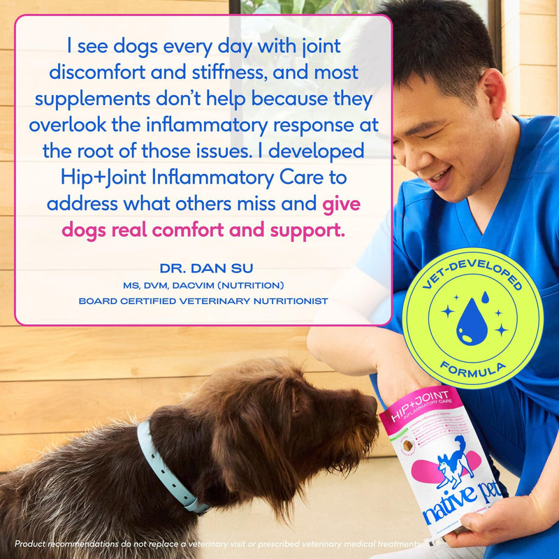 Native Pet Inflammatory Care - Pain Relief for Dogs - Green-Lipped Mussel, Turmeric & Collagen for Dogs - Hip and Joint Supplement Supports Healthy Inflammatory Response & Joint Comfort - 60 Chews 60 Count - PawsPlanet Australia