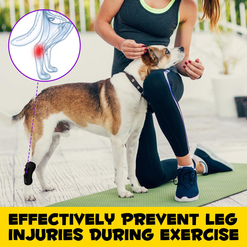 1 Pair Dog Leg Brace for Rear Hock & Ankle Front Leg Support, Canine Hind Leg Joint Compression Wrap, Dog Leg Support, Injury and Sprain Protection, Ankle Brace with Knee Support for Dogs (L) L - PawsPlanet Australia