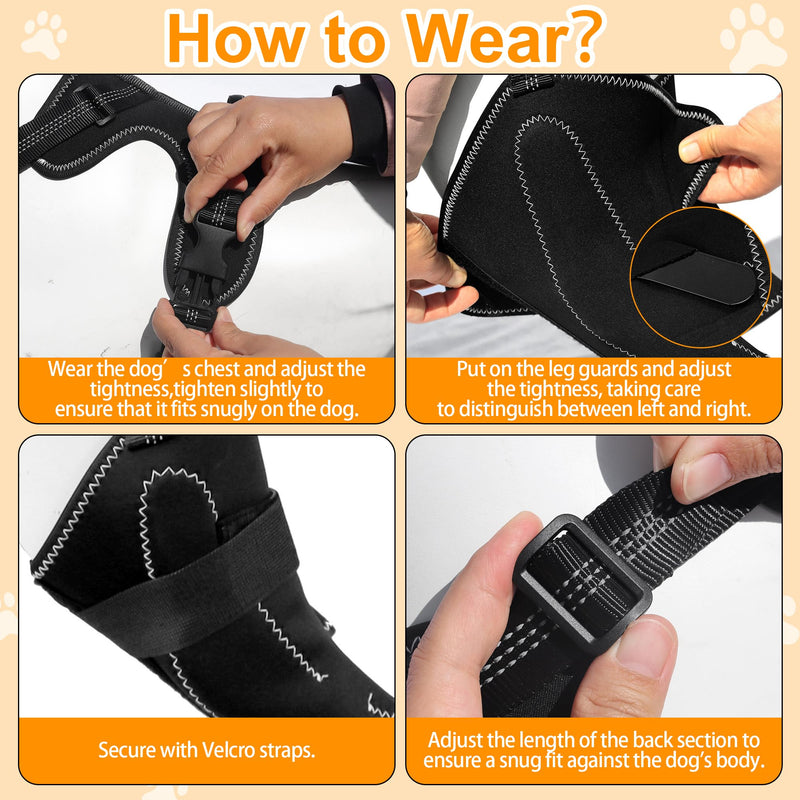 Dog Knee Brace for Rear Leg Support - Adjustable Canine Hinged Back Leg Support Warp with Hip Joint Care Reflective Strap Harness for ACL Arthritis Relief Patellar Luxation Injured Dog (M) M