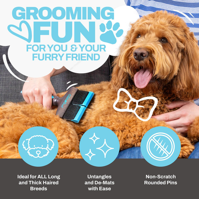Doodle Brush for Dogs - Dog Hair Brush, Dog Brush for Poodles, Goldendoodle Brush, Bernedoodle - Flexible Head Slicker Brush for Dogs, Poodle Brush, Labradoodle Brush, Sheepadoodle - Dual Head Blue Double Head - PawsPlanet Australia