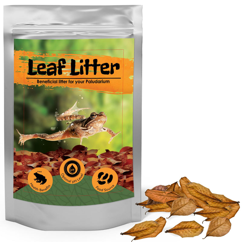 JOR 120 Pack Dwarf Frog Leaf Litter, Mini Indian Almond Leaves as Microfauna Habitat Tank Food Source, Substrate in Bioactive Terrarium & Vivarium Enclosure, Helps Tank Mimics Native Habitat - PawsPlanet Australia