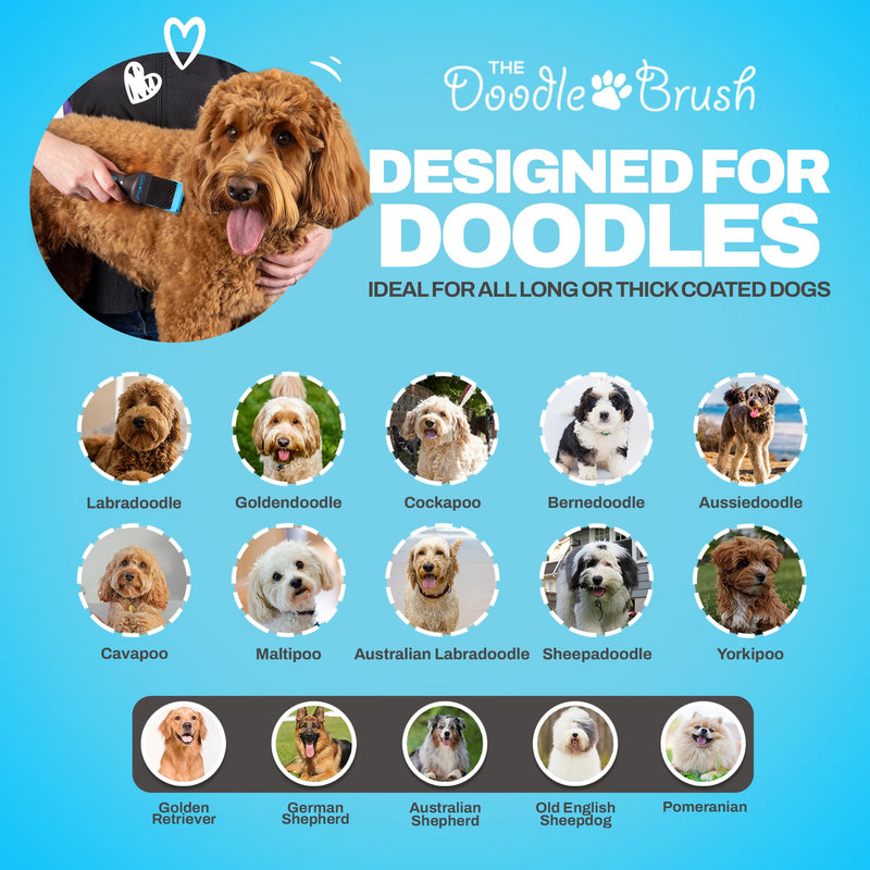 Slicker Brush for Dogs, Single Head Dog Grooming Brushes, Flexible Head Slicker for Dogs, Poodle, Labradoodle, Cockapoo, Tangle-Free Grooming, Healthy & Shiny Coat Pet Brushes - PawsPlanet Australia