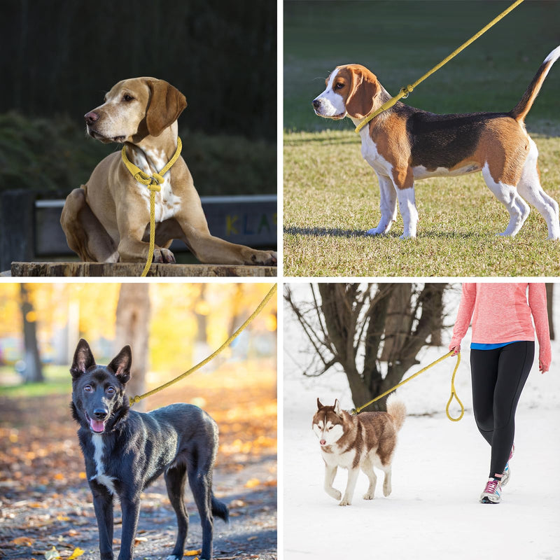 Lynxking Dog Leash Slip Lead Reflective Breathable Rope Comfortable Strong No Pull Slip On Pet Training Lead for Dogs - PawsPlanet Australia