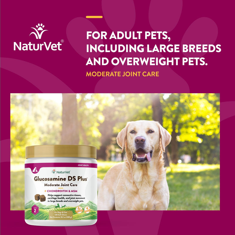 NaturVet – Glucosamine DS Plus - Level 2 Moderate Care – Supports Healthy Hip & Joint Function – Enhanced with Glucosamine, MSM & Chondroitin – for Dogs & Cats–120 Soft Chews Glucosamine-DS Level 2 120 Soft Chews