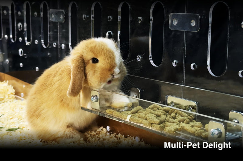 GuineaLoft™ Food Feeder - Say Goodbye to Traditional Bowls! The Ultimate Feeder for Small Pets like Guinea Pigs, Rabbits and Chinchillas. Designed & Made by Seasoned Owners - Guinea Loft Exclusive - PawsPlanet Australia