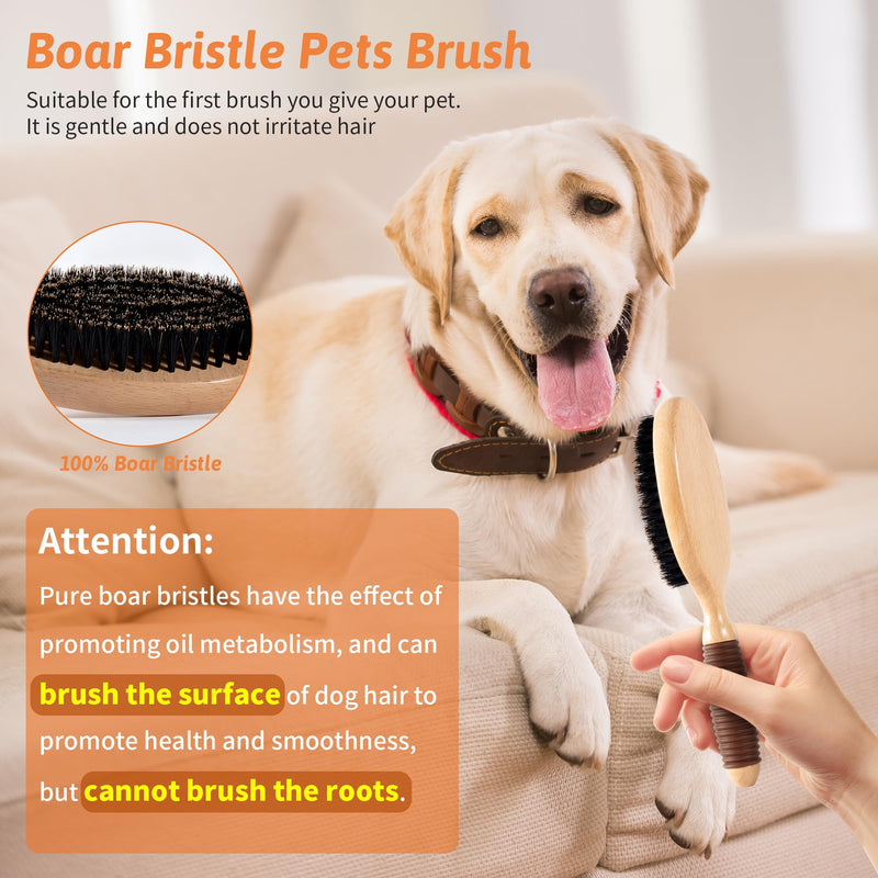 Boar Bristle Pet Brush for Short Haired Dogs and Cats, Dog Cast Hair Brush for Shedding with Beech Wood Handle and Non-Slip Rubber Boar Bristle for Short Haired - PawsPlanet Australia