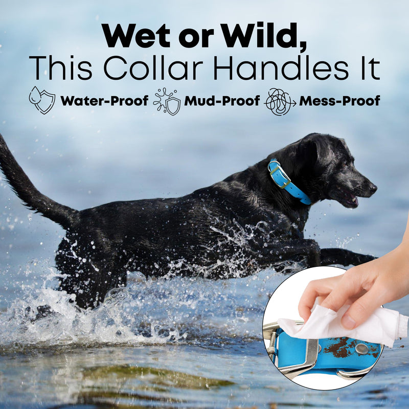 Waterproof Standard Dog Collar with Black Hardware Double Buckle & D Ring with Matching 5' Leash Combo Small Black Harware Light Blue