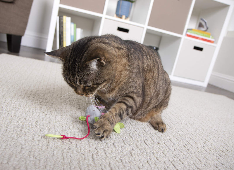 SmartyKat Bouncy Mouse Bungee Dangler Plush Cat Toy - Randomly Selected Color, One Size - PawsPlanet Australia