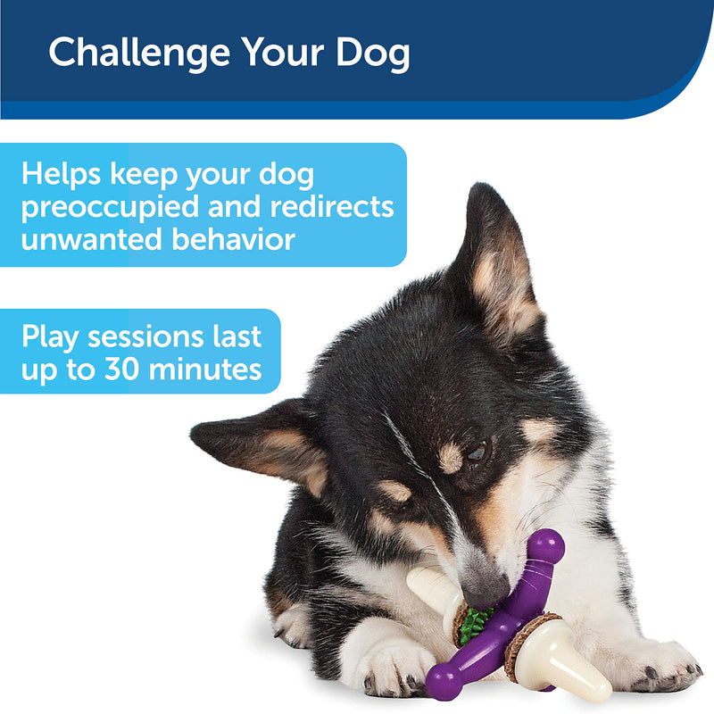 PetSafe Busy Buddy Slab o’ Sirloin Dog Toys – Treat Ring Holding Chew Toy – BPA Free Rubber – Beef Scented – Interactive Pet Puzzle for Boredom or Separation Anxiety – Small to Large Dogs Medium - PawsPlanet Australia