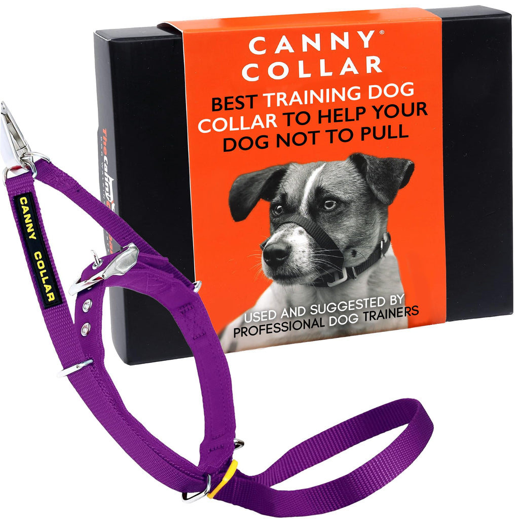 Canny Collar No-Pull Dog Collar - The Kind, Gentle Head Collar for Dogs| Dog Training Tool for Easier Dog Walking | Purple - Size 3 Size 3 - 13"-15"