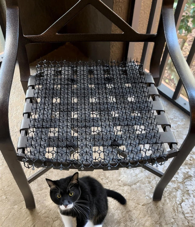 10 Pk: Scat Mats, Cat Deterrent, Keep Dogs Off Furniture, Cat Scat Mats, Dog Scat Mats, Keep Cats Off Counter Tops, Scat Mat, Animal Deterrent Mats,Keep Dogs Off Couch, Dog Deterrent Mat (Outdoor) - PawsPlanet Australia