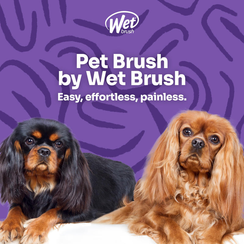 Wet Brush Ultimate Grooming 2-in-1 Dual Sided Detangling Pet Brush - Ultra Soft IntelliFlex Bristles Remove Loose Hair & Dirt - Detangler for Dogs, Cats, Rabbits - Teal Blue - PawsPlanet Australia