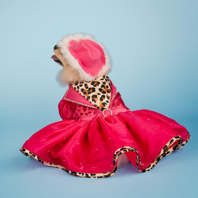 Doggy Parton Leopard Notched Collar Dress for Dogs - Medium - PawsPlanet Australia