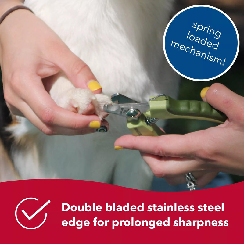 Coastal Pet Safari Dog De-Matting Comb & Professional Dog Nail Trimmer - Comb & Brush for Dogs with Medium to Long Hair & Dog Nail Clippers for Grooming - Bundle - PawsPlanet Australia