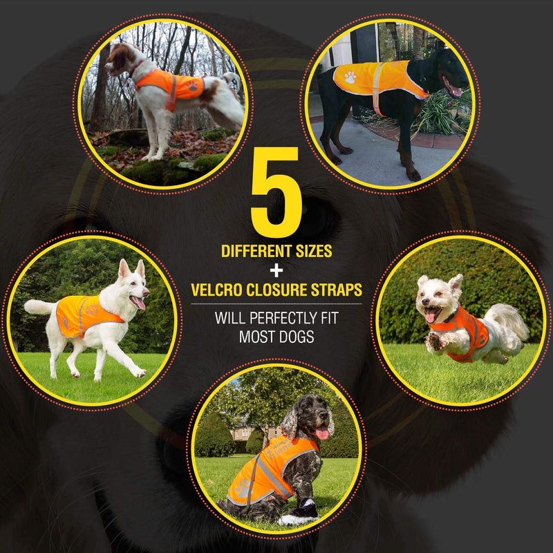 4LegsFriend Dog Safety Orange Reflective Vest with Leash Hole 5 Sizes - High Visibility for Outdoor Activity Day and Night, Keep Your Dog Visible, Safe from Cars & Hunting Accidents XL - PawsPlanet Australia