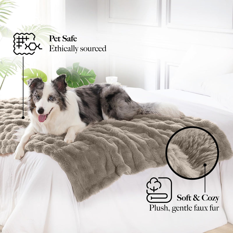 Modern Threads Water-Resistant Faux Rabbit Fur Pet Blanket for Dogs & Cats – Ultra-Soft Couch, Bed & Crate Protector, 30x40 Brown 30x40" - PawsPlanet Australia