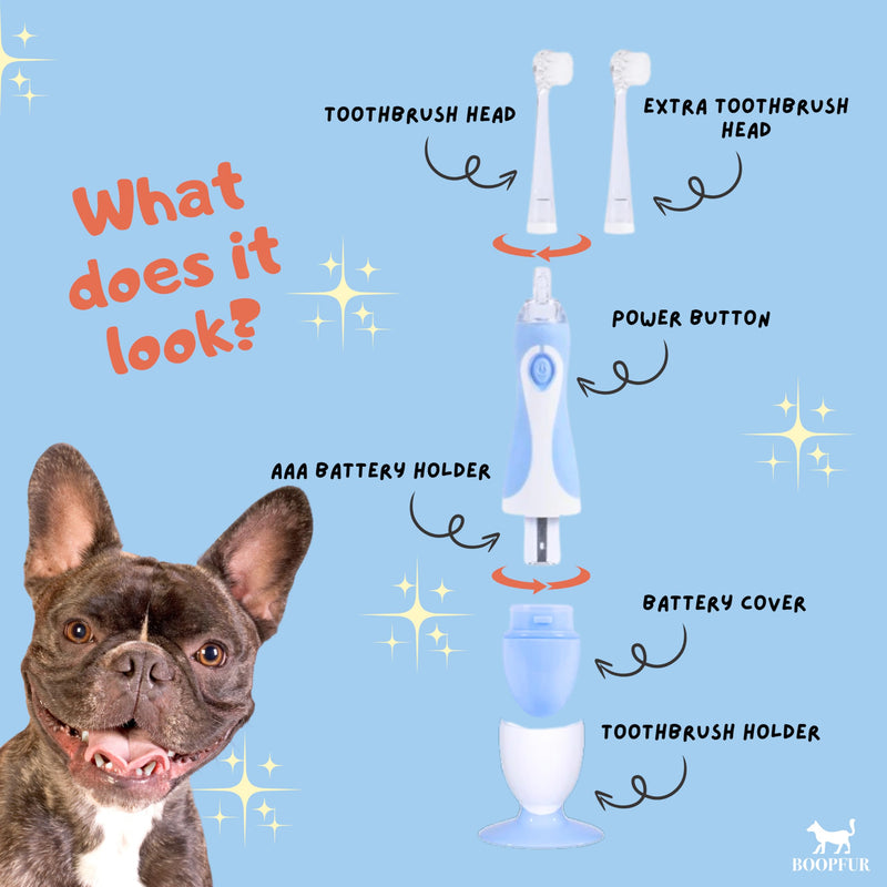 Generic Pet Electric Toothbrush for Dogs and Cats with LED Light & Soft Bristles, Blue/White