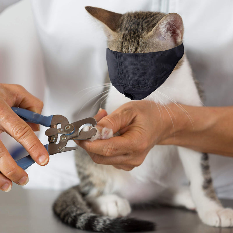 Downtown Pet Supply - Cat Muzzle for Grooming - Gentle and Soft Muzzle - Cat Grooming Supplies - Nylon - Medium - PawsPlanet Australia