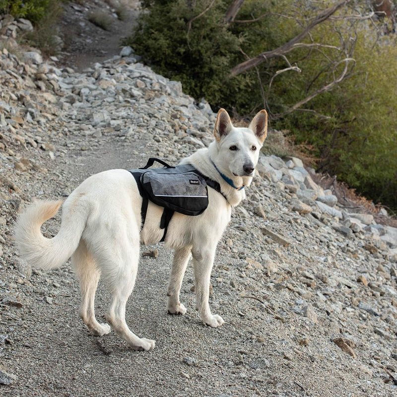 Adventure Backpack - Pink - L - PawsPlanet Australia