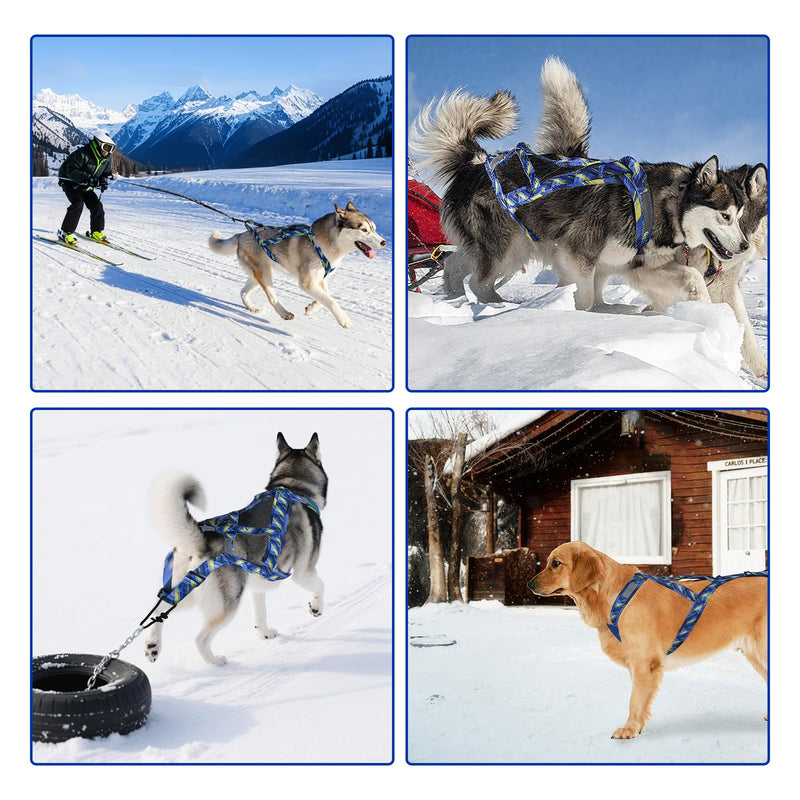 Dog Pulling Harness, Sled Dog Harness for Running, Pull Dogs Leash is Suitable for Cross-Country Running, Dogs Sports, Bicycle Traction, Ski Traction, Sled, Sled Dog 25.5kg (Blue, M) Blue - PawsPlanet Australia