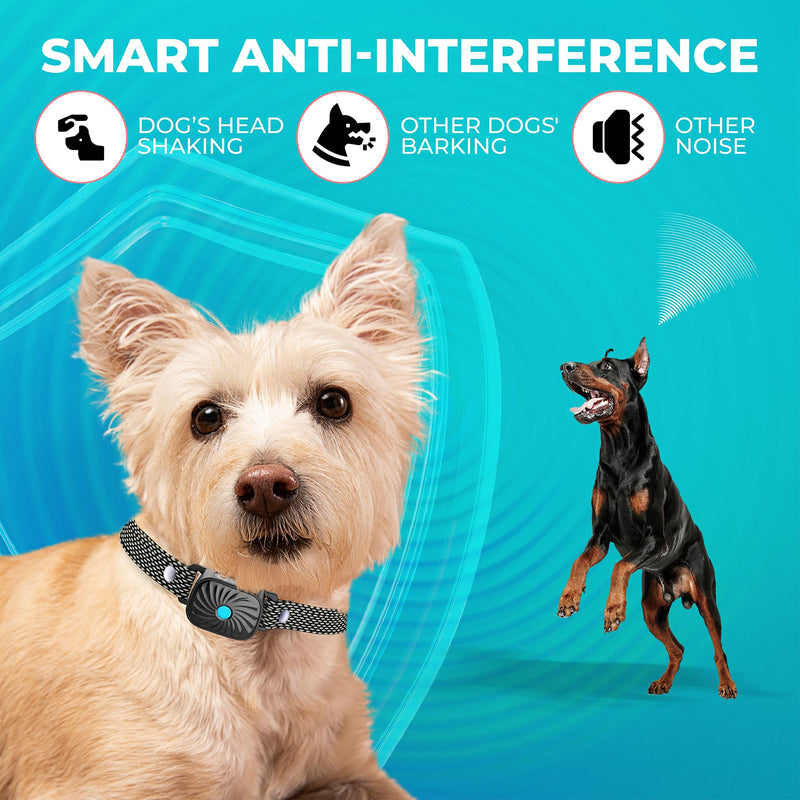 2 Pack Bark Collar for Small Dogs, No Shock Anti Bark Collar, Rechargeable Anti Barking Collar w/2 Vibration & Beep Modes, Waterproof Shockless Smart Dog Stop Barking Control Device 2 Pack Black-2Pack