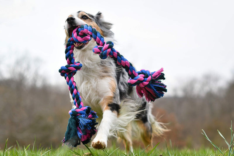 Mammoth Flossy Chews Rope Tug – Premium Cotton-Poly Tug Toy for Dogs – Interactive Rope Toy (Colors May Vary) Medium 20" 3 Knot Dog - PawsPlanet Australia