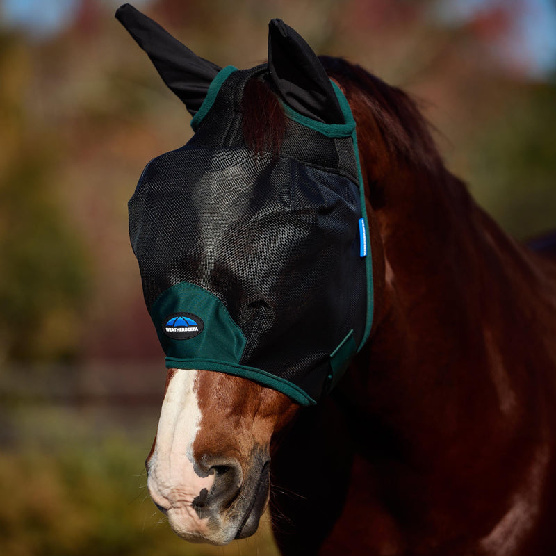 WeatherBeeta ComFiTec Durable Mesh Fly Mask with Ears, Black/Forest Green, Medium M