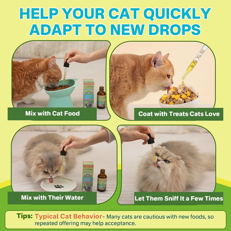 Puyrzoe L-Lysine for Cats Drops – Sneezing, Runny Nose & Watery Eyes Relief, Liquid Cat Lysine Supplement for Immune & Respiratory Support with Taurine & Vitamins, to Boost Energy & Appetite, 60 mL