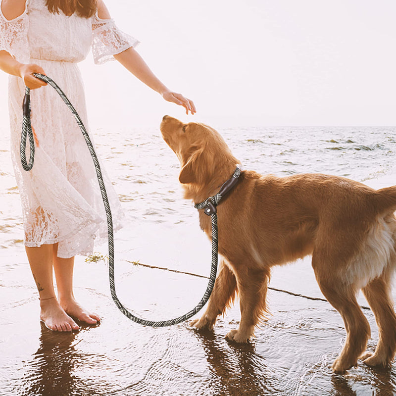 TwoEar 6FT Slip Lead Dog Leash, Heavy Duty Slip Leash for Dogs with Highly Reflective, Strong Rope Slip Leads No Pull Pet Training Leashes for Small Dogs (3/8", Grey) Small(3/8"-6ft) - PawsPlanet Australia