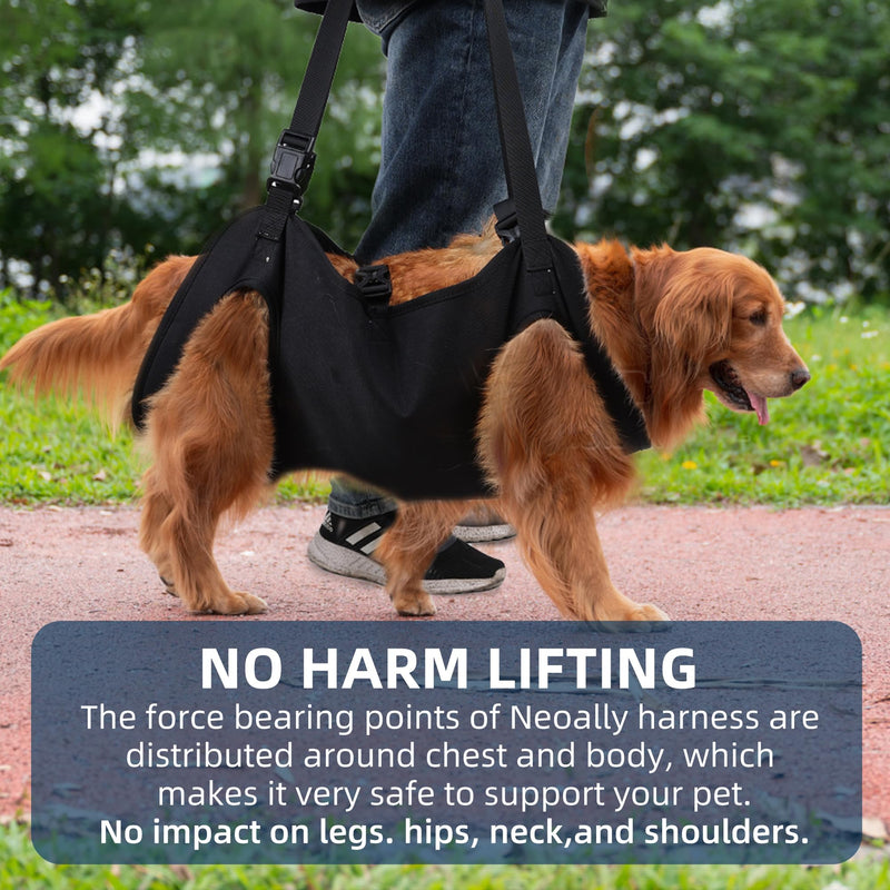 Dog Lift Harness, Emergency Backpack Pet Legs Support & Rehabilitation Sling Carrier, Adjustable Lifting Straps Carrier for Senior Elderly Dogs Joint Injuries Arthritis M - PawsPlanet Australia