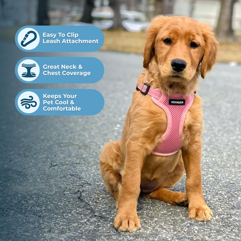 Best Pet Supplies Voyager Adjustable Step-in Flex Breathable Mesh Dog Harness for Small Medium Large Dogs Leash Set (Pink), S Harness Leash Set (Pink) - PawsPlanet Australia