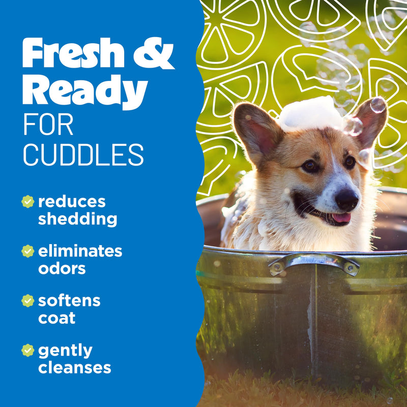 TropiClean Deshedding Dog Shampoo, Fast-Acting Shedding Control & Coat Softener, Puppy Safe, Made in USA, Lime & Coconut Scent, Cat Friendly, 20oz. Lime & Coconut Shed Control Shampoo - PawsPlanet Australia