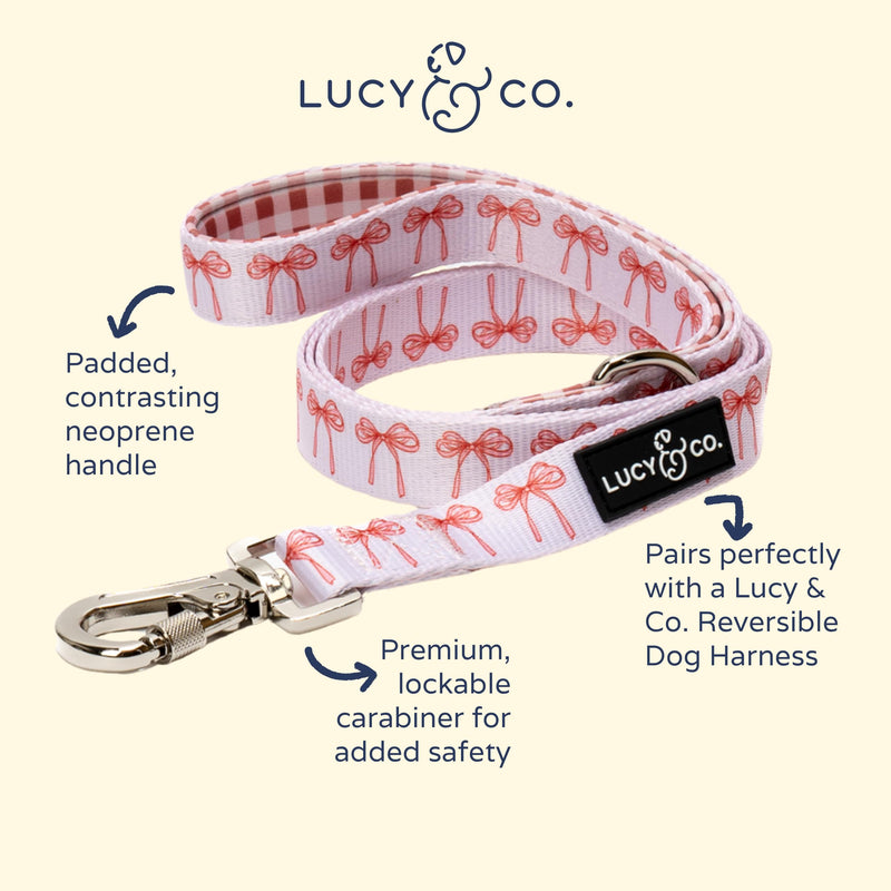 Lucy & Co. Designer Dog Leash - Pet Accessories - Thick Dog Leash - Padded Handle for Comfort - Ballet Bows - 5 Foot (White & Pink Bows, Small) Take a Bow Leash S - PawsPlanet Australia