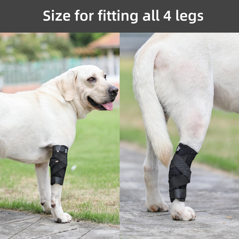(L/XL) Dog Front Leg Brace, Pair of Dog Leg Brace with Metal Strips, Canine Front Leg Hock Wrap Sleeve for Carpal Support, Protects Wounds Brace Heals and Prevents Injuries and Sprains (L/XL) - PawsPlanet Australia