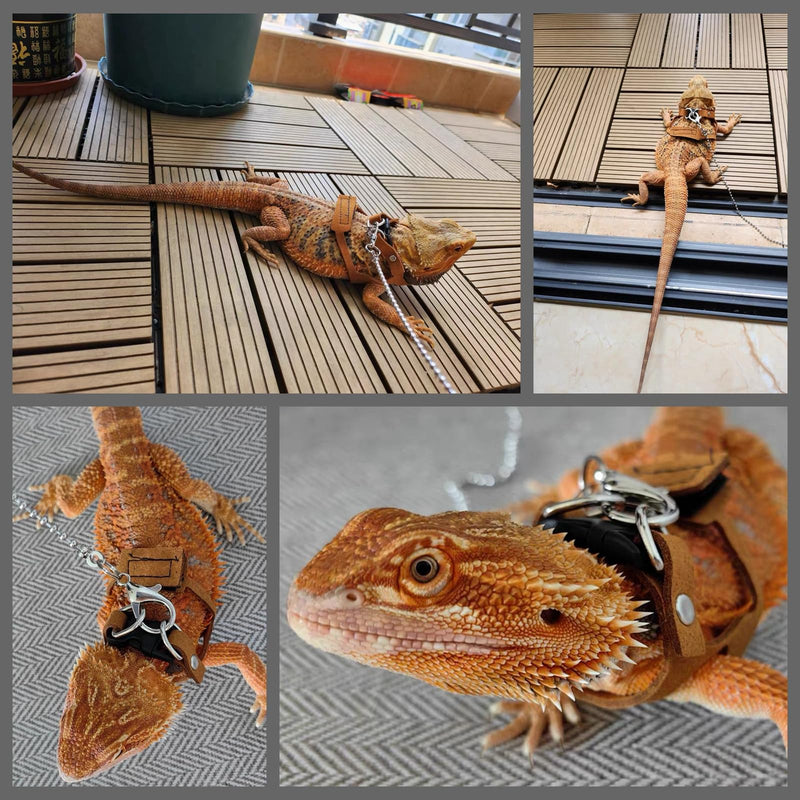 Bearded Dragon Harness and Leash Adjustable(M,L,XL) - Soft Leather Reptile Lizard Leash Accessories for Bearded Dragon, Lizard and Other Small Pets (XL) XL - PawsPlanet Australia