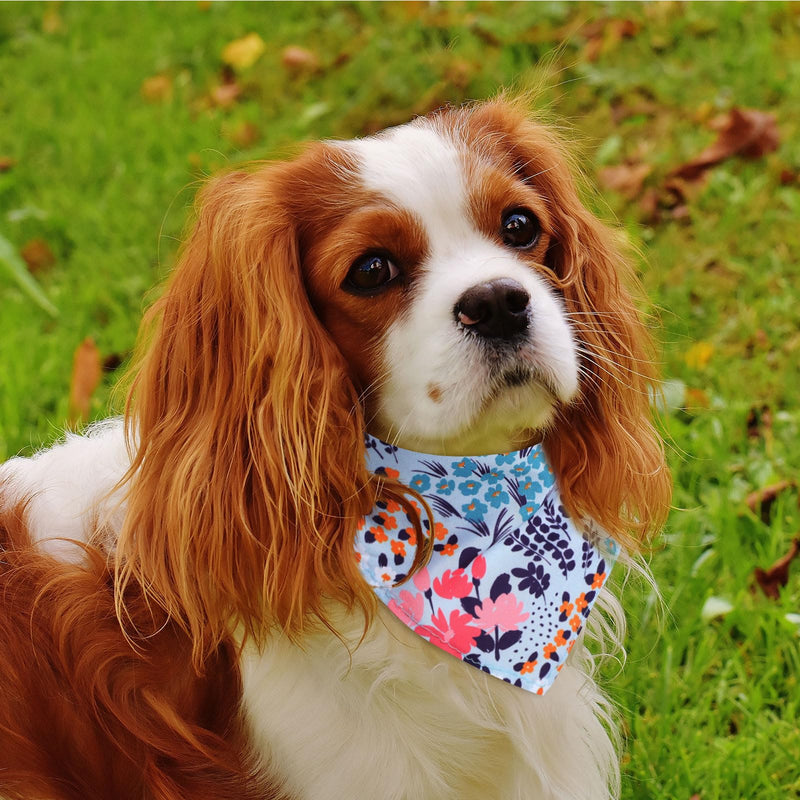 72 Packs Dog Bandanas Bulk Buffalo Plaid Cat Bandana Summer Scarf Triangle Fruit Drool Bibs Washable Adjustable Kerchief Dog Cat Bandana for Beach Small Medium Pet Supplies(Flower) Floral - PawsPlanet Australia