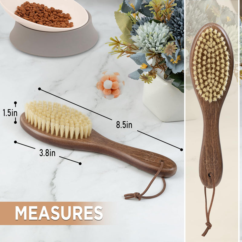 Takavu Natural White Boar Bristle Cat Brush - Gentle Grooming Tool for Sensitive Skin, Smoothing Fur & Healthy Shine - Soft Pet Brush - PawsPlanet Australia